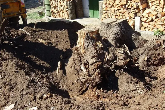 Stump Removal