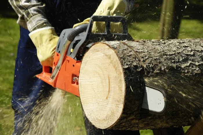 Tree Company in Clewiston, FL
