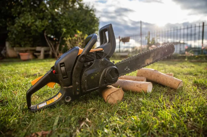 We Care Tree Service's Other Services We Care Tree Service's Other Services
